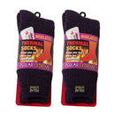 2 Pack Polar Extreme Women's Moisture Wicking Thermal Socks