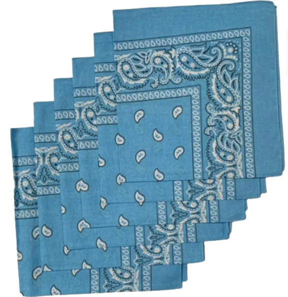 1 Dozen (12 ) Classic Paisley Print Bandana Scarfs 100% COTTON size 22 x 22 (Blue)