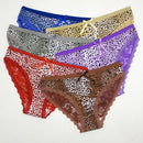 6-Pack Women's Cotton Bikini Lace Cozy Mid Rise Women's Brief Panties