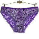 6-Pack Women's Cotton Bikini Lace Cozy Mid Rise Women's Brief Panties