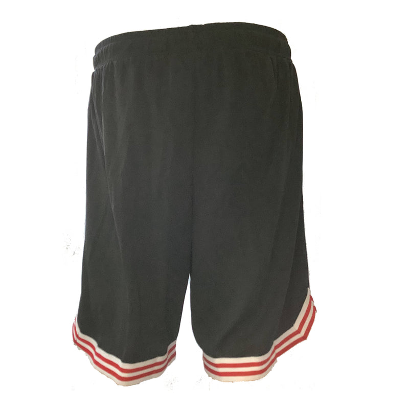 Mens Casual Mesh Shorts Basketball Sports Two Toned Gym Pants Workout Summer